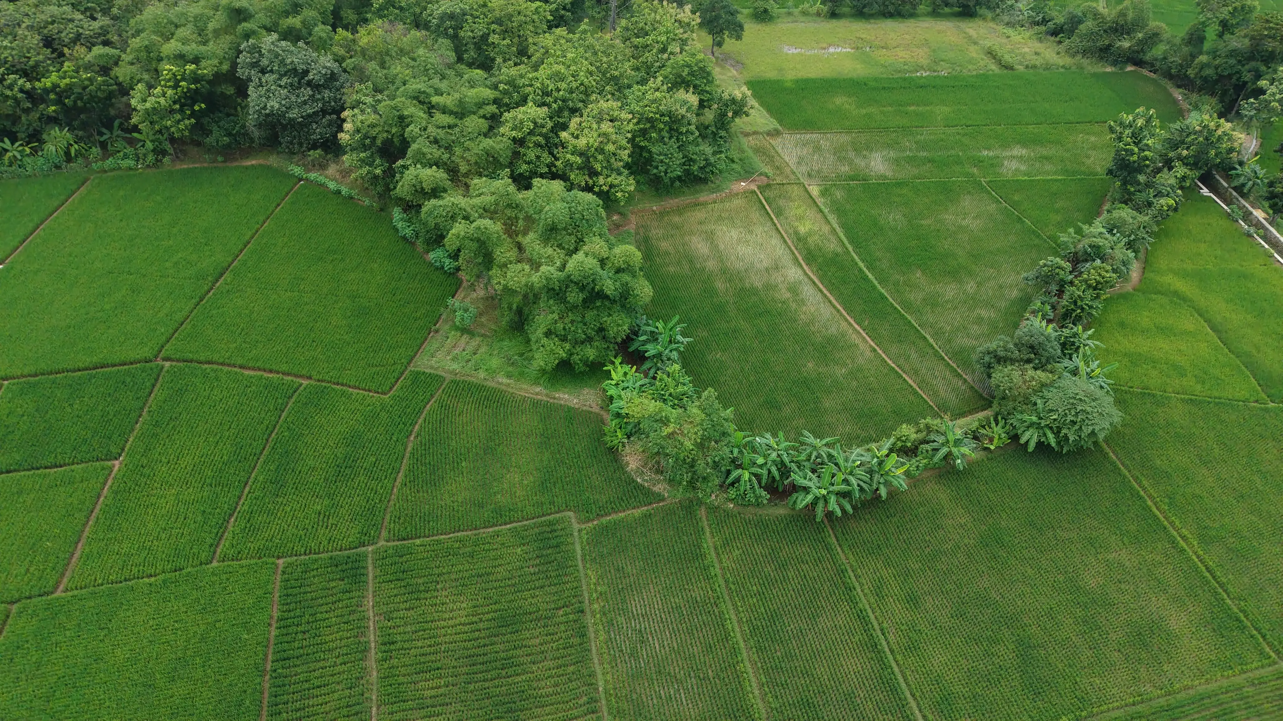 PELAYANAN DESA, KESEJAHTERAAN WARGA